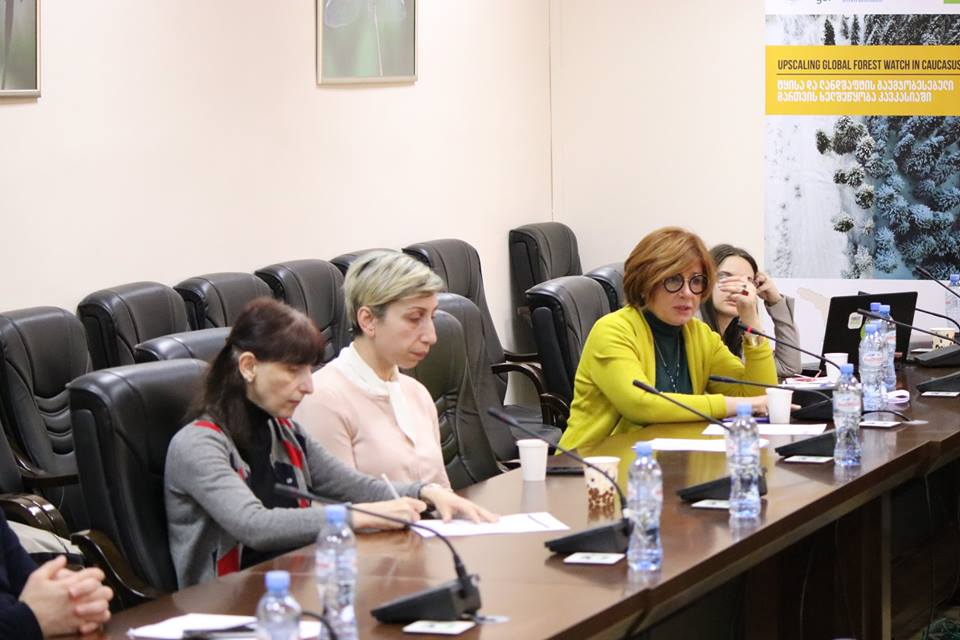 REC Caucasus Organizes Validation Workshop Within the Frames of the Project “Upscaling Global Forest Watch in Caucasus Region