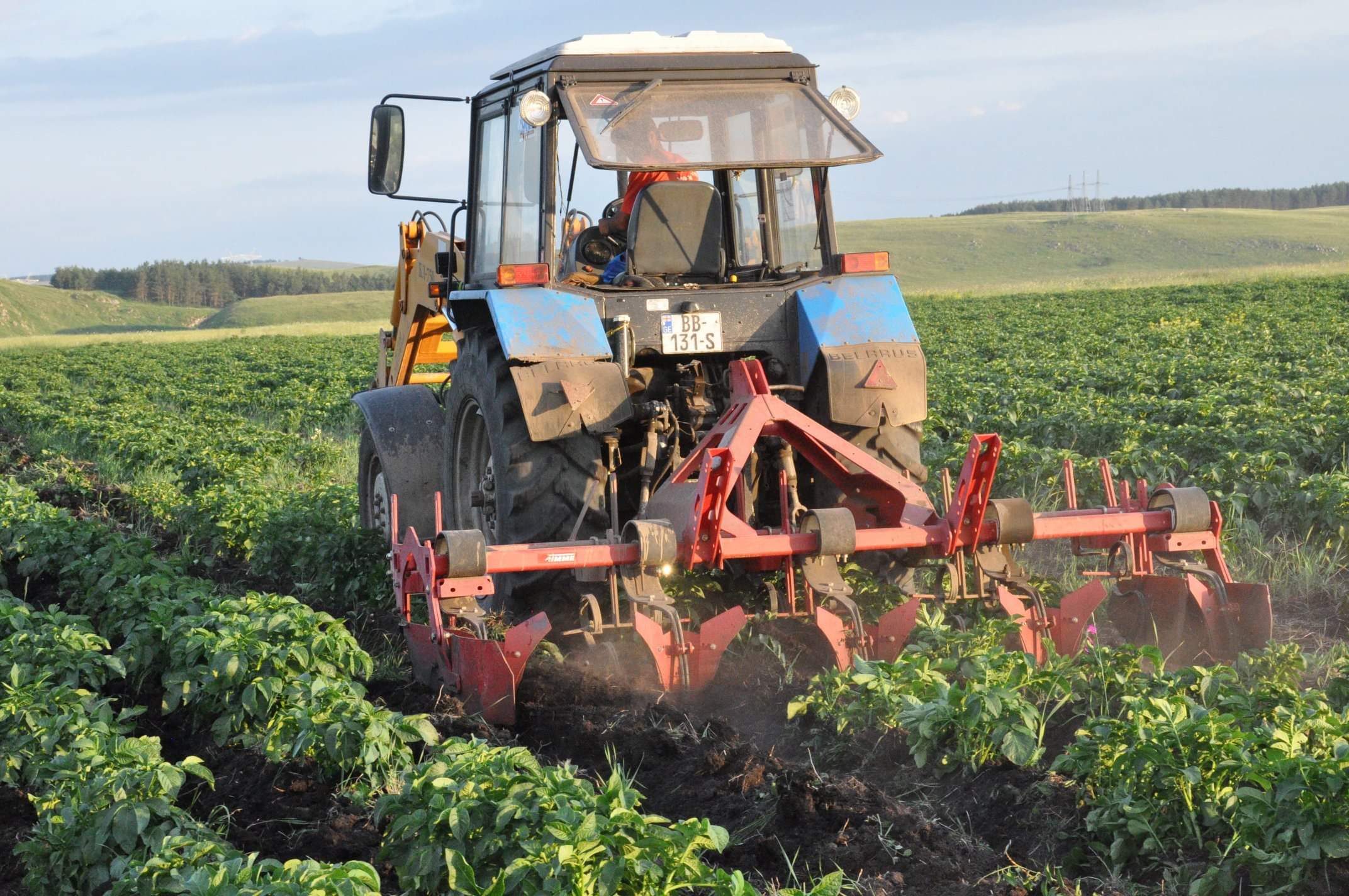 Another Training for Bareti Farmers – Georgian Version