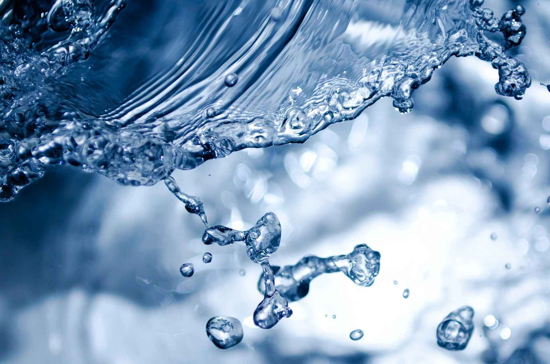 Water Laboratory Day in Georgia
