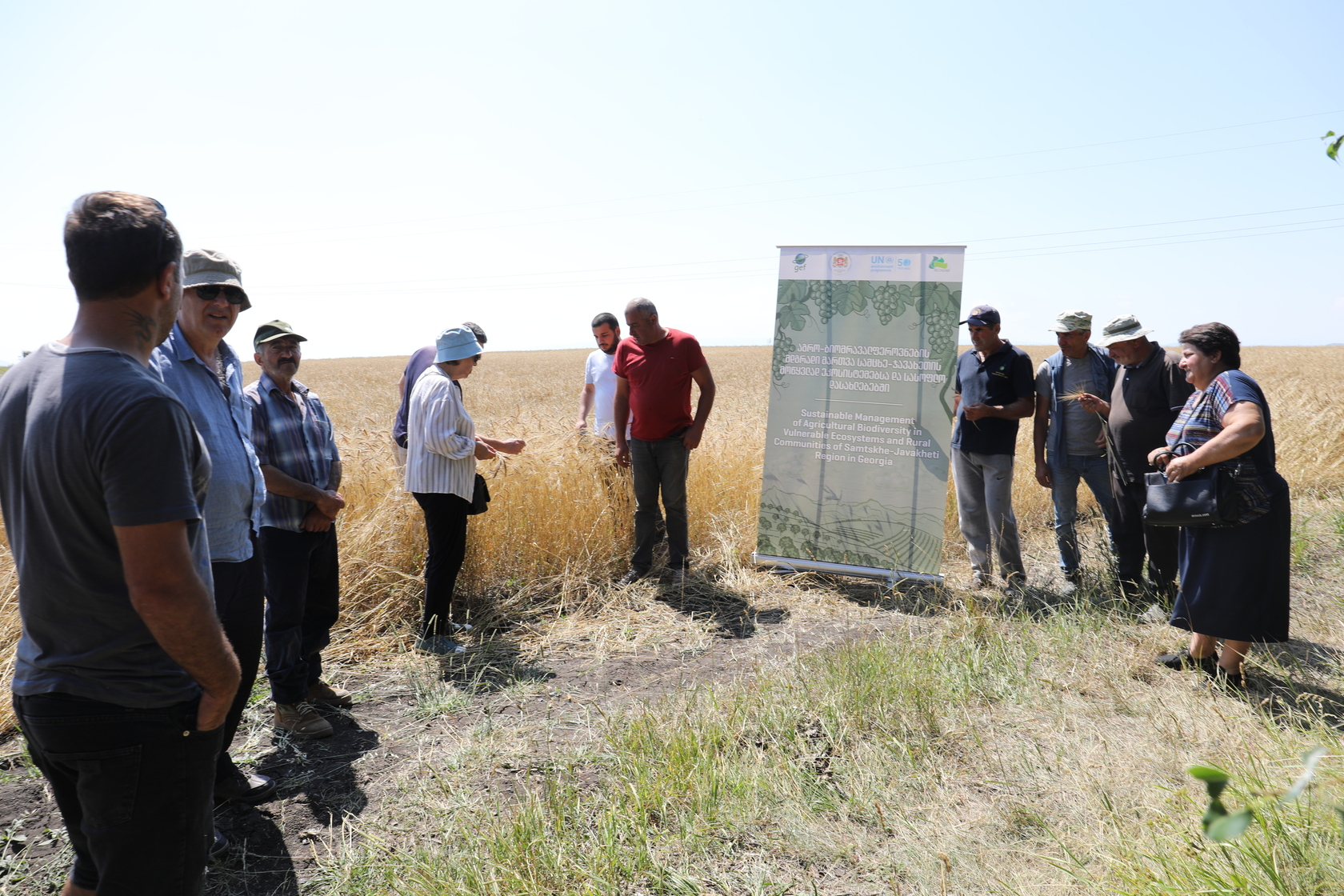 Empowering Rural Communities: Skills for Better Wheat Harvest and Yield for Vulnerable Rural Societies in Samtskhe-Javakheti