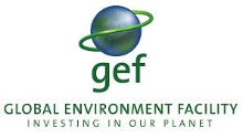 thegef