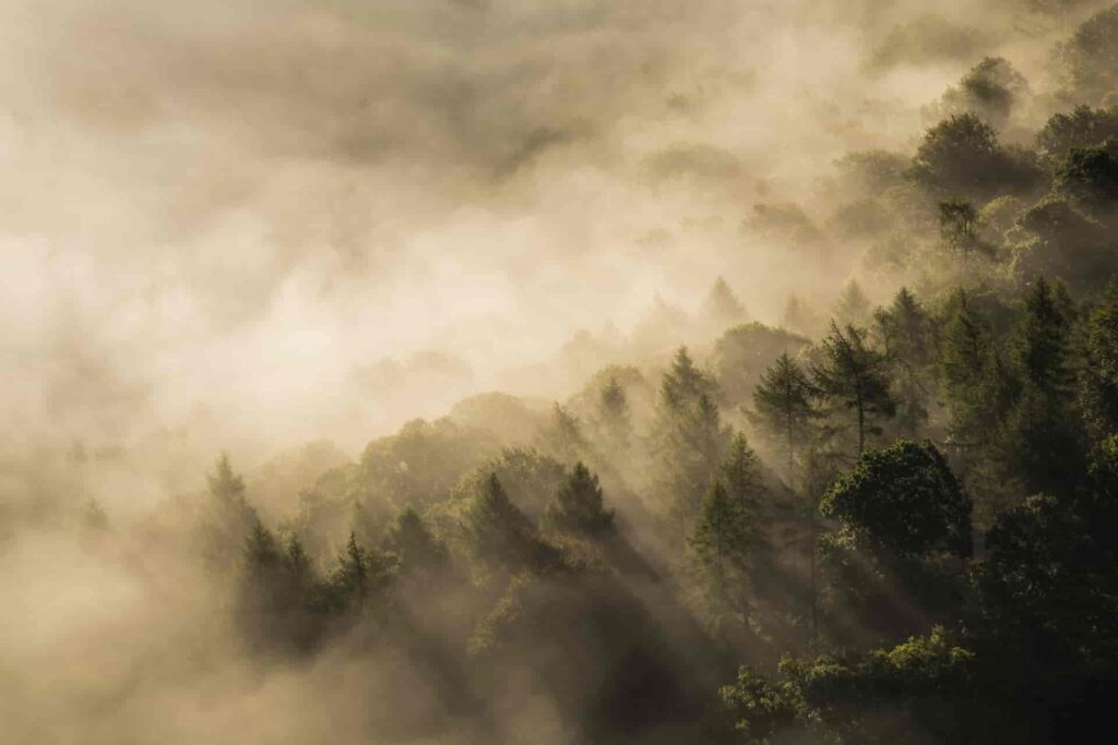 Generating economic and environmental benefits from sustainable land management for vulnerable rural communities of Georgia