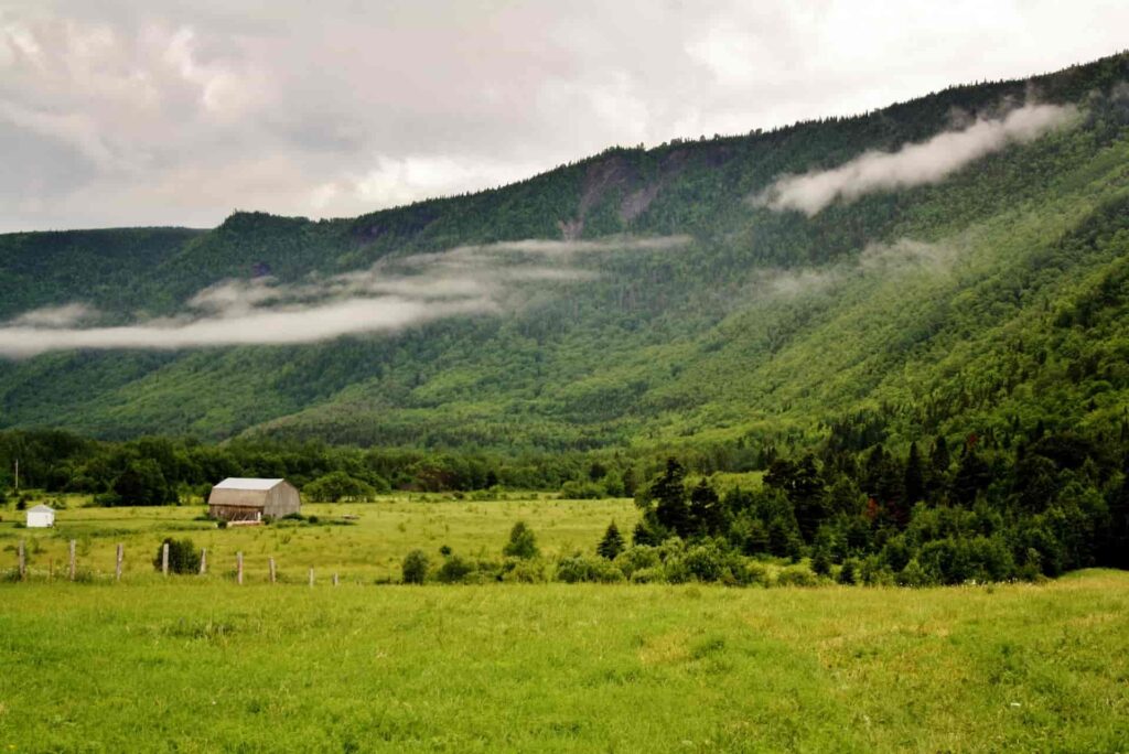 Household Survey for ELD study on pasture management in Kakheti region