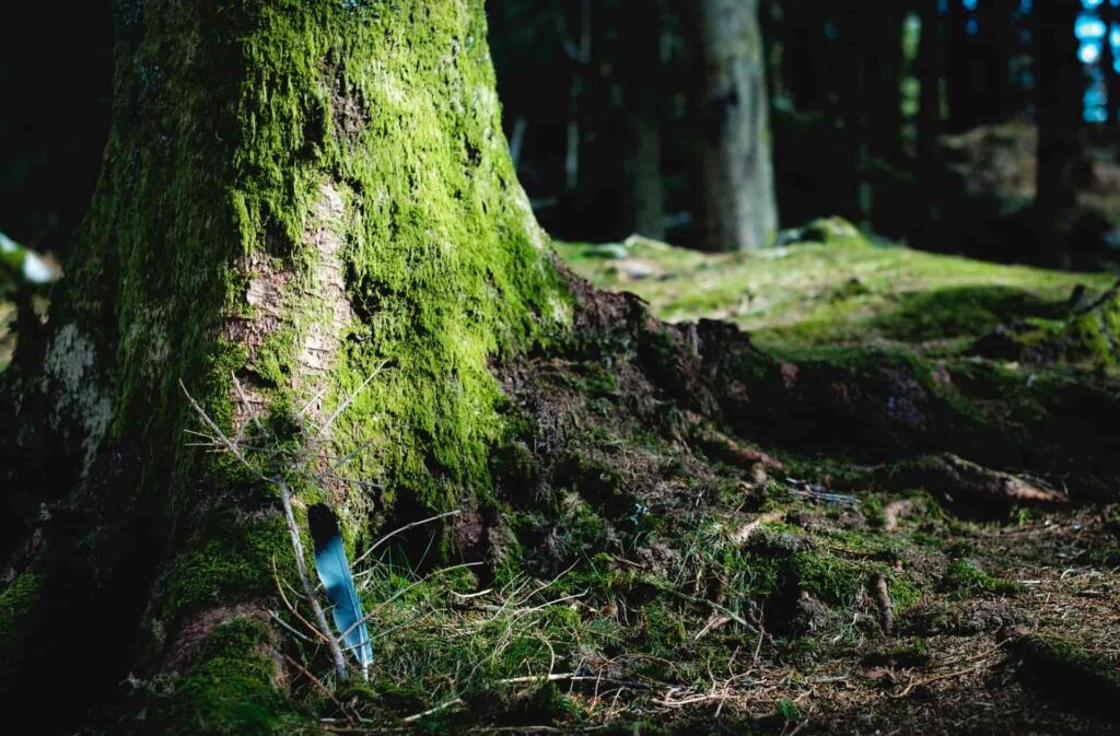 Biosphere Reserves as model regions for climate change mitigation and adaptation – capacity development for the establishment of a biosphere reserve in Kakheti Region (Georgia)