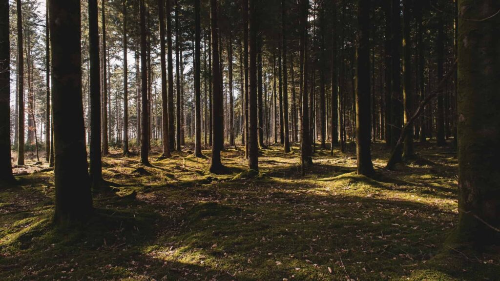 Applying Landscape and Sustainable Land Management (L-SLM) for mitigating land degradation and contributing to poverty reduction in rural areas of Kvemo Kartli and Kakheti regions