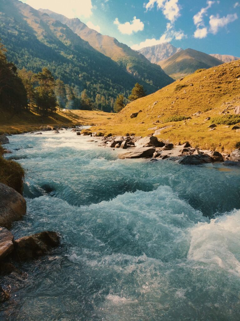 Management of the Transboundary Joint Secretariat Nature Conservation in the Caucasus