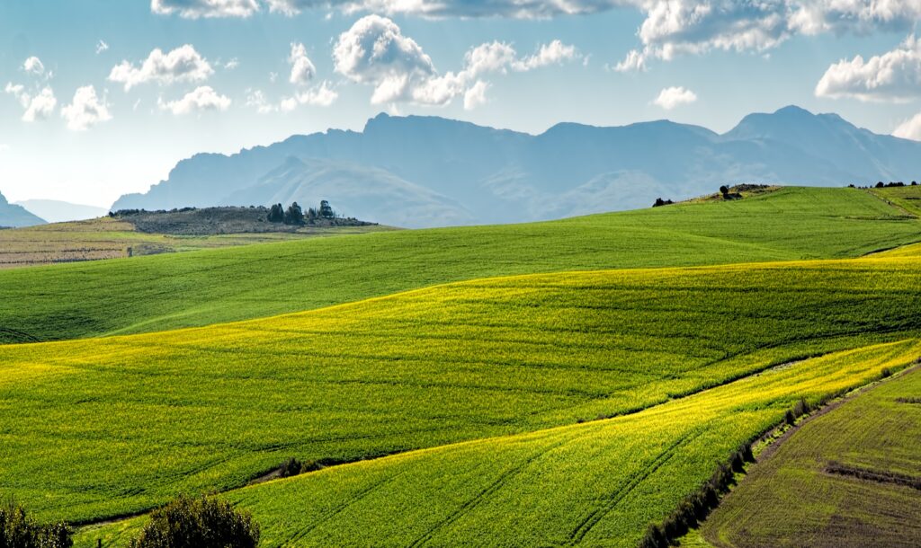 Caucasus Alumni Network and Pasture Management in Georgia