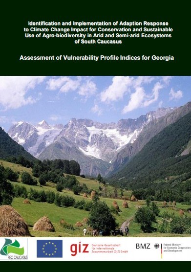 Assessment of Vulnerability Profile Indicies For Georgia