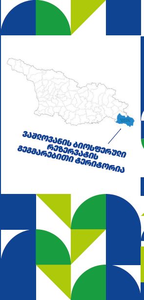 Vashlovani BR Flyer Georgian
