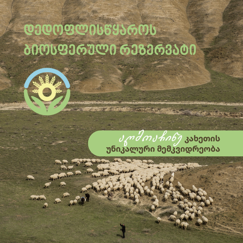 დედოფლისწყაროს ბიოსფერული რეზერვატი